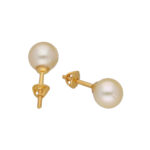 Gabhasti Gold Earrings