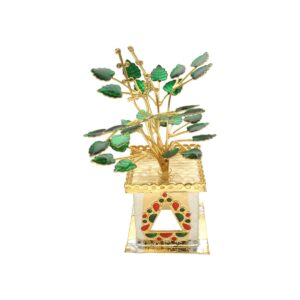 79 Grams Golden Tulsi Plant