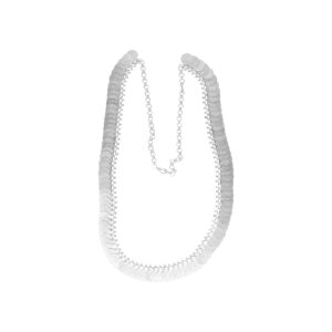 40 Grams Laxmi Kasu Silver Garland