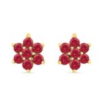 Stunning Ruby Earrings