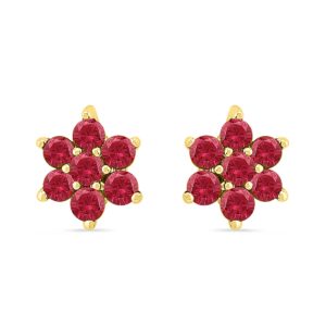 Stunning Ruby Earrings