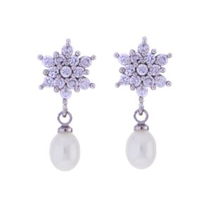 Shining Star Drop Earrings