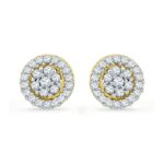 Spring Diamond Earrings