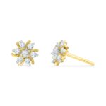 Decorous Diamond Earrings