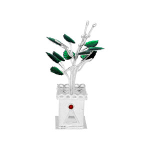 Pooja Tulsi Silver Plant