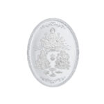 20 grams 99.9% GSl Oval silver coin