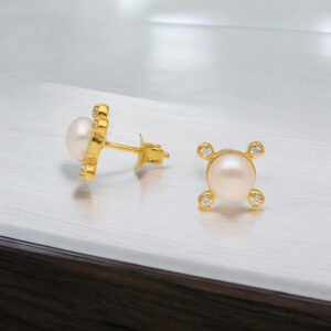 Exquisite Stud 925 Silver Earrings